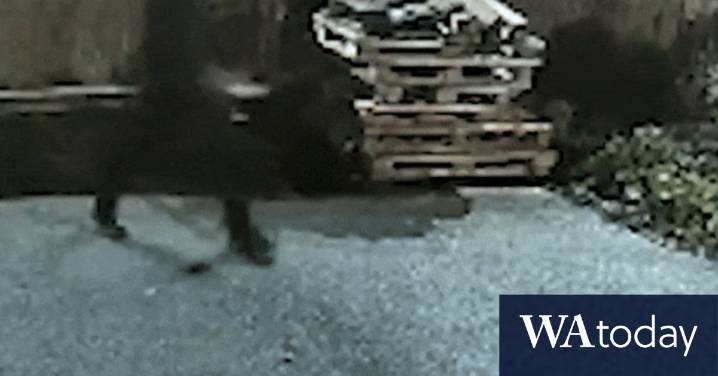 Train suspect accused of a string of earlier knife attacks