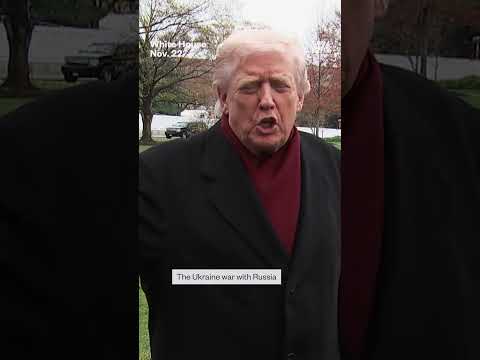 Trump: Zelenskyy can 'fight his little heart out' if he rejects peace plan