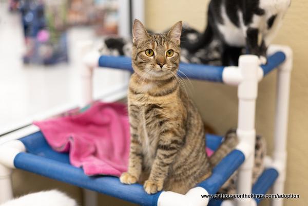 Claudia Is Irresistibly Cute and Smart to Boot