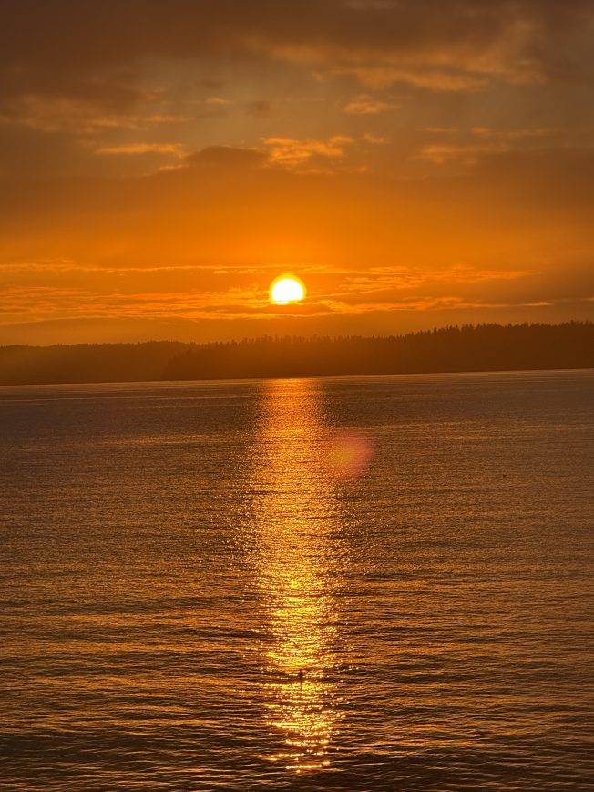 West Seattle Blog… | TRAFFIC CAMS, WEATHER, TRANSIT: Wednesday watch