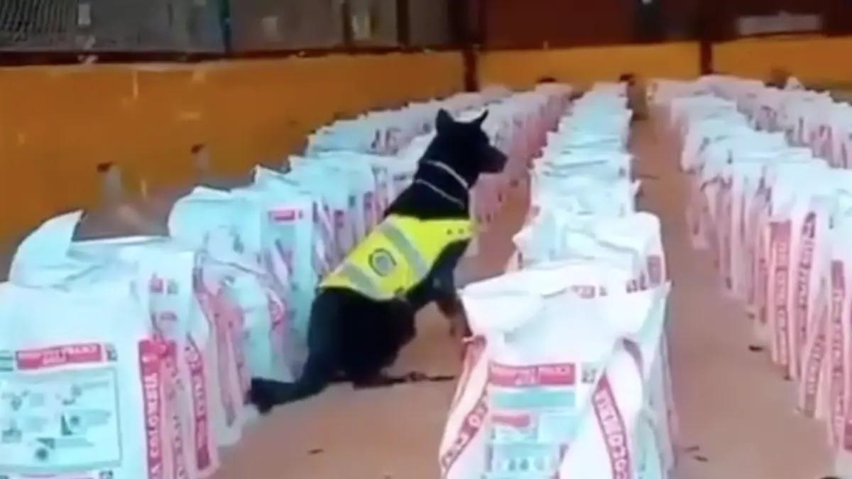 ¡Impactante golpe al narcotráfico: Colombia incauta 14 toneladas de cocaína!