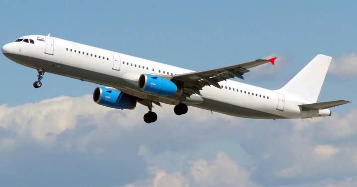 Por qué una falla informática pone en jaque a miles de aviones Airbus en todo el mundo