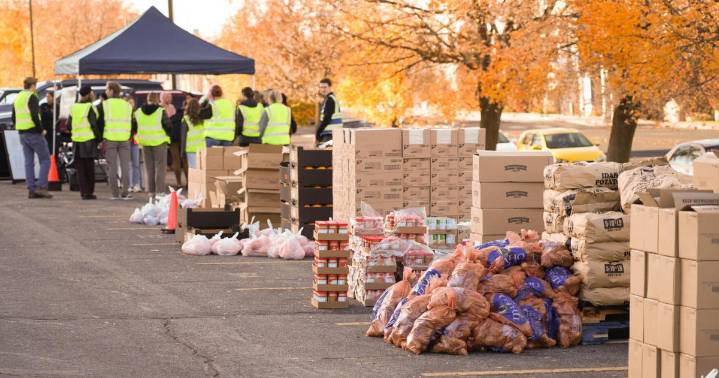 Ask an Expert – Five ways to help reduce food insecurity