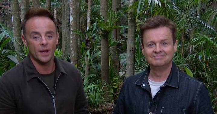 I'm A Celebrity star Ant brands campmates 'bunch of idiots' after Angry Ginge's 'big mistake'