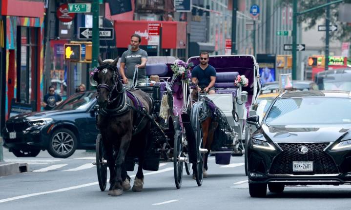 City Council kills 'Ryder's Law' bill that sought to ban Central Park horse carriages in NYC