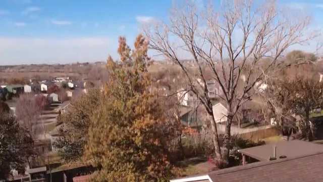 'That seems overkill': Several homeowners told their trees will be removed for gas pipeline