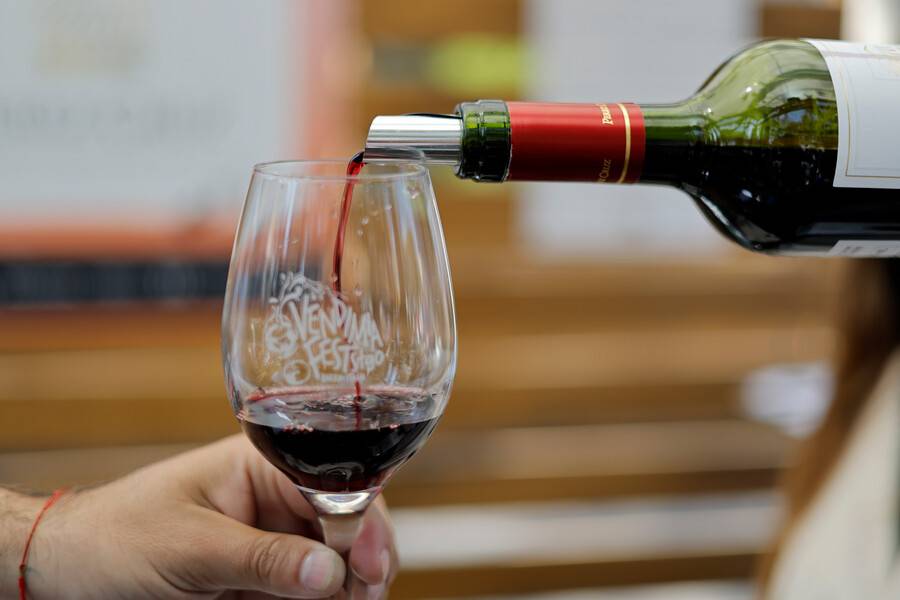 Cómo llegar a los viñedos chilenos: guía para viajeros entre los lugares turísticos de Chile