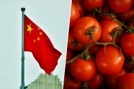 Italia lleva años importando su famosísima pasta de tomate "italiana" de China. Y ahora China tiene un problema