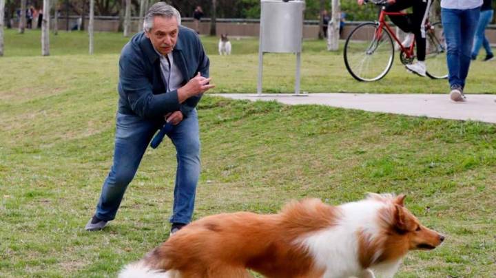 Murió Dylan, el perro de Alberto Fernández: “Ahora correrás en algún paraíso”