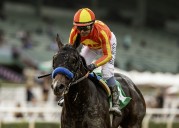 Horse racing notebook: Bob Baffert’s Nevada Beach makes quick return at Del Mar