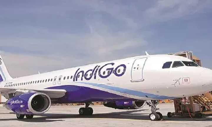 IndiGo flies into red on forex headwinds; posts Rs 2,582 crore net loss in Q2