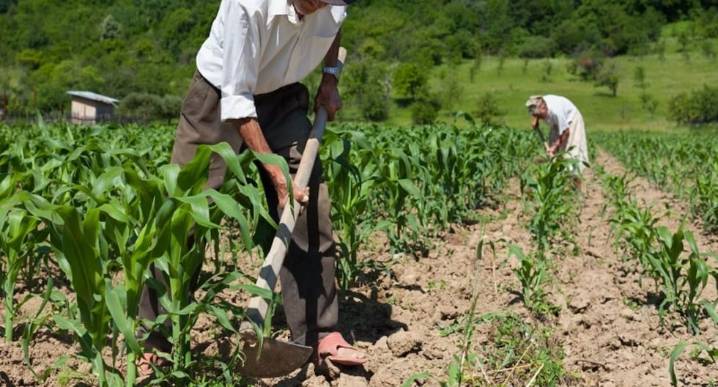 El relevo que el agro sigue esperando por Gustavo Meza Hinojo | agro | Opinión
