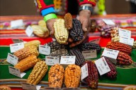 Perú muestra al mundo su riqueza genética: Midagri inaugura la Exposición Internacional “Semillas del Perú”