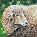 What’s happening in the Mid-Hudson Valley: Nov. 2, 2025