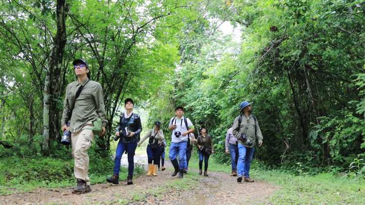Durante el Global Big Day, más de 250 especies de aves fueron avistadas en áreas del Grupo Ecopetrol