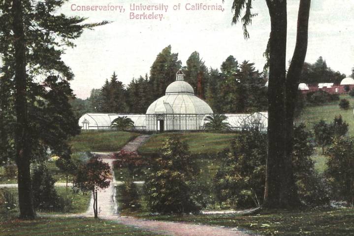 Berkeley, a Look Back: Dense fog engulfs Bay Area on Thanksgiving 1925