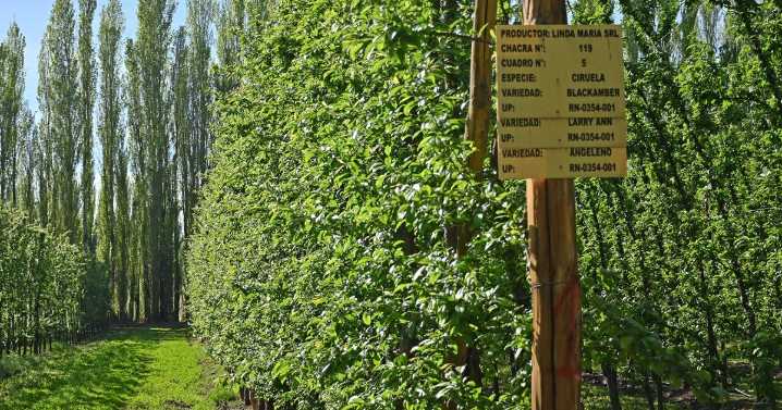 Webinar gratuito: nuevas tecnologías de control climático en frutales