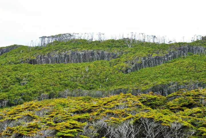 Habilitaron las visitas al Área Natural Protegida Península Mitre