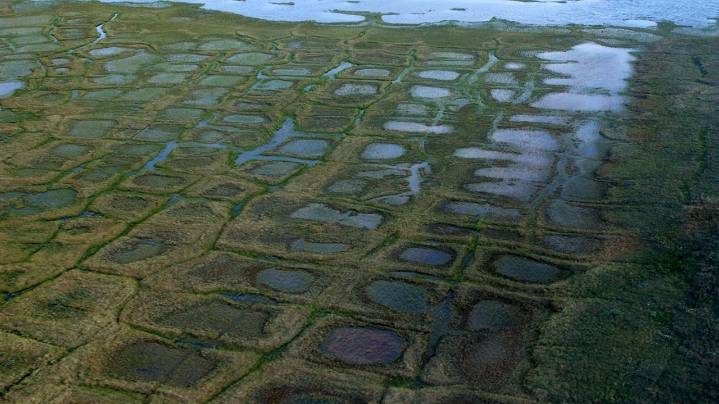 Congress approves measure to overturn Biden-era management plan for Alaska petroleum reserve