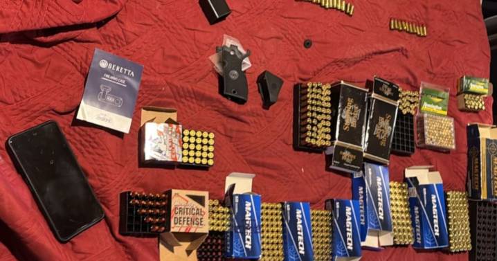Buscaban pruebas por amenazas en Roca y encontraron cajas llenas de balas de varios calibres