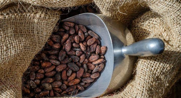 Chocoshow 2025: agéndate con la feria cacaotera en Bogotá durante este fin de semana