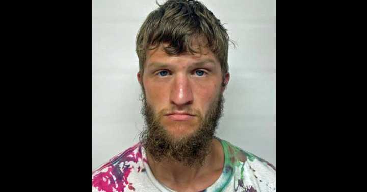 Accused child sex offender loses bail appeal on whether charge constitutes 'violence'