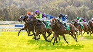Race-by-race preview and tips for Gosford on Thursday