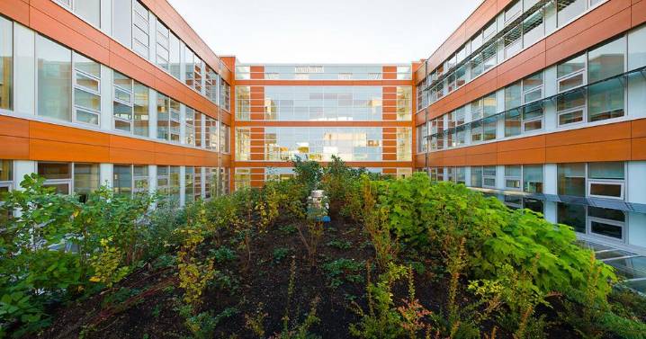 Body preservation technique applied to wooded materials