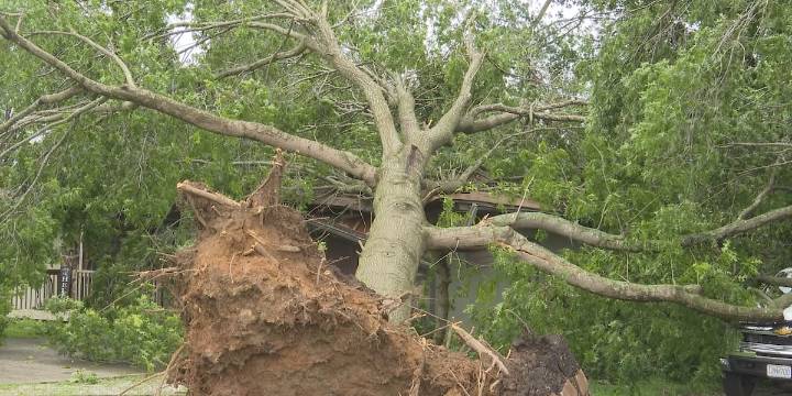 On Your Side: Why insurance premiums are on the rise