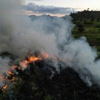Who is setting fire to the Amazon?