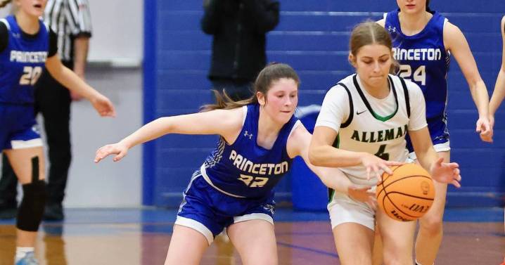 Girls basketball tournaments to tip off next week at Princeton, Bureau Valley