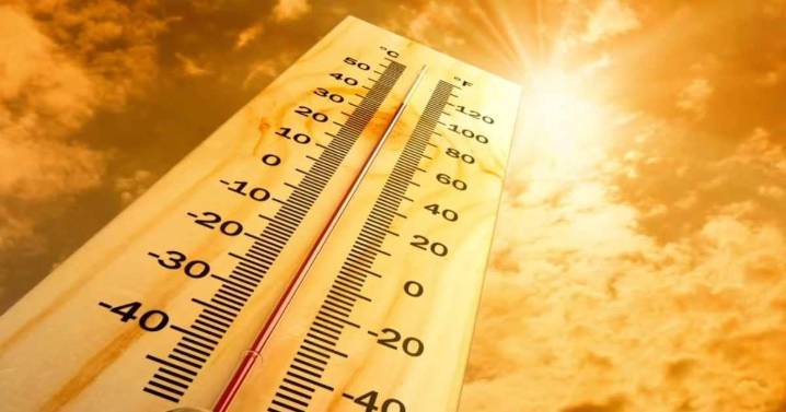 “La zona central arderá”: revisa las regiones más afectadas por el calor extremo este fin de semana
