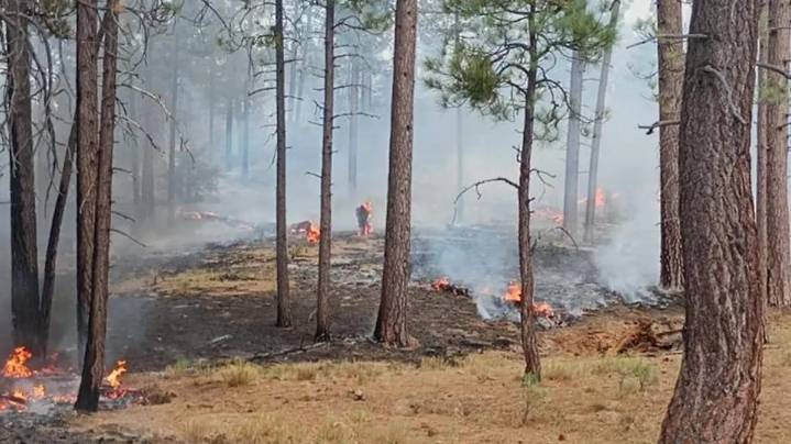Baja California y CalFire mantienen operativo conjunto contra incendios en la frontera