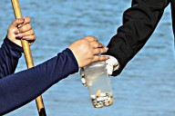 Recolectan 3 toneladas de residuos en zonas de playas del municipio de La Paz 