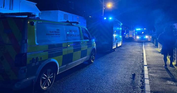 Dog kills nine month old baby as armed police descended on UK town