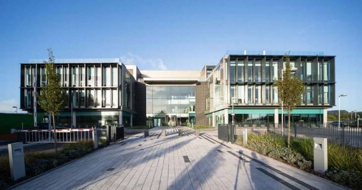 Tobacco giant Imperial Brands increases dividend after 'strong' full