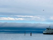 Scene in Edmonds: Around town Monday