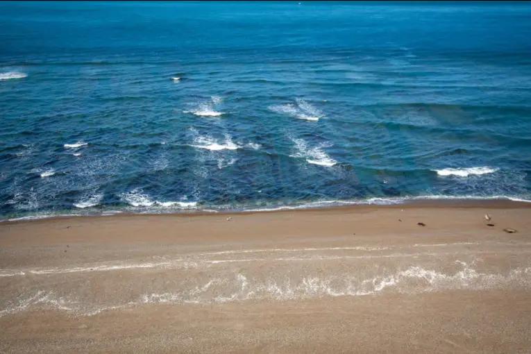 Verano 2026: el balneario de Santa Teresita que se consolida en Argentina