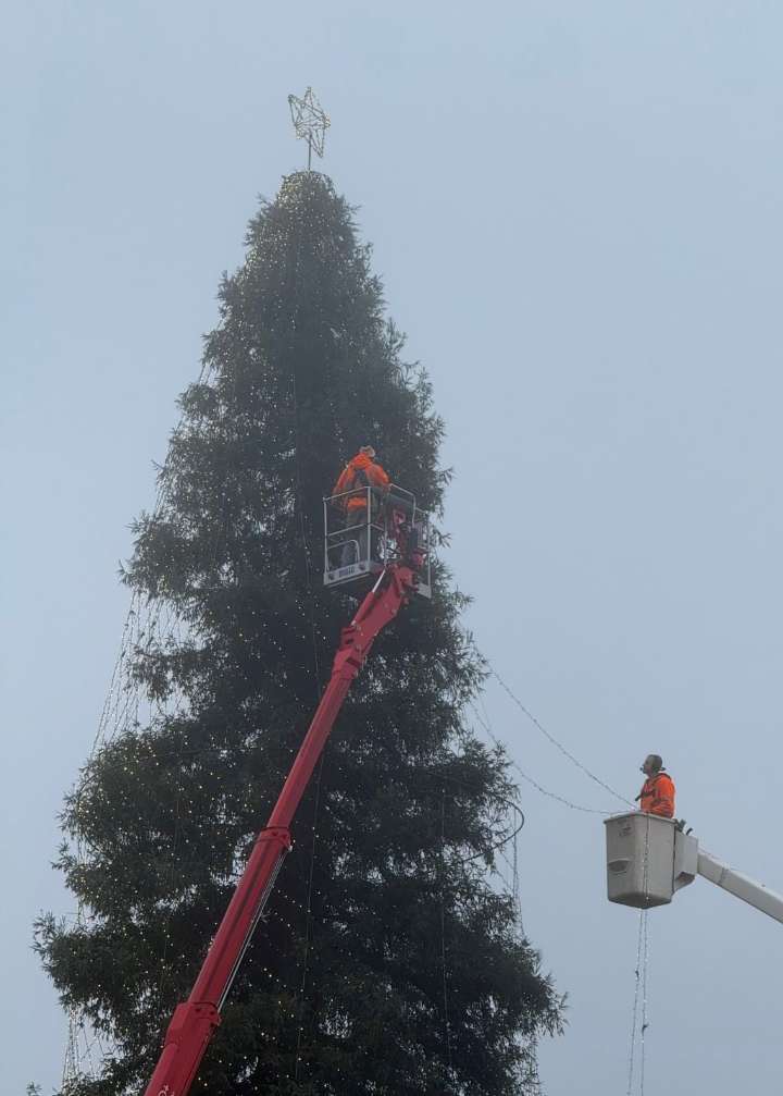 Stringing lights: City Plaza Christmas tree prepped for lighting ceremony