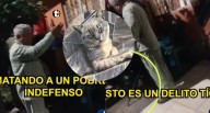 ¡Crueldad animal en La Victoria! Adulto mayor mató a palazos a un gatito comunitario y vecinos exigen justicia Vecinos de La Victoria denunciaron a un hombre identificado como Luis Ludeña por asesinar