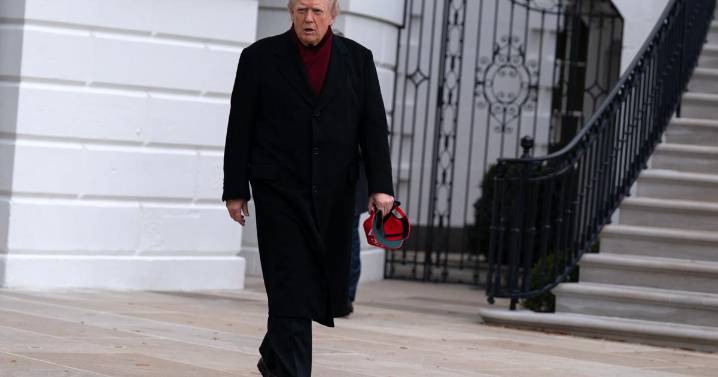 Trump pledge to 'immediately' end protections for Minnesota Somalis sparks fear and legal questions