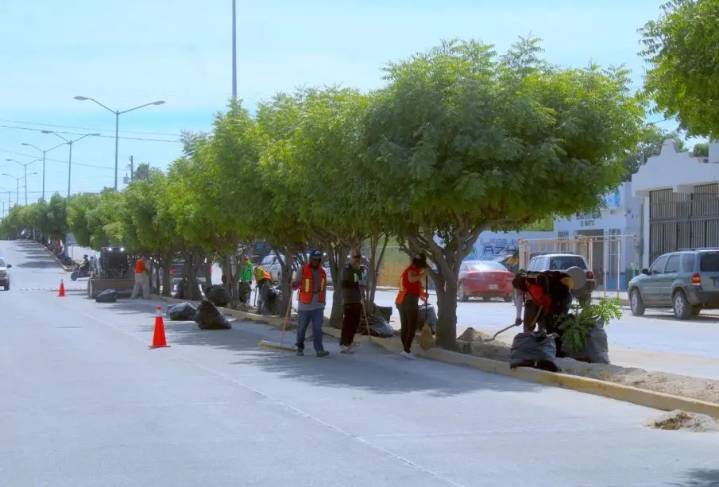 Servicios Públicos rehabilita el bulevar Ernesto Chávez en San José del Cabo