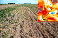 Anticipan que La Niña generaría un “pulso seco” de falta de lluvias y cuándo impactará en Argentina