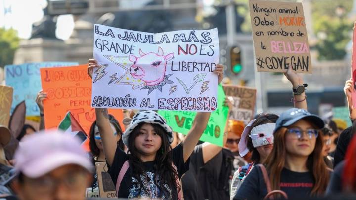 15 estaciones del Metro CDMX cerradas, marchas, afectaciones viales y movilizaciones este 20 de noviembre del 2025