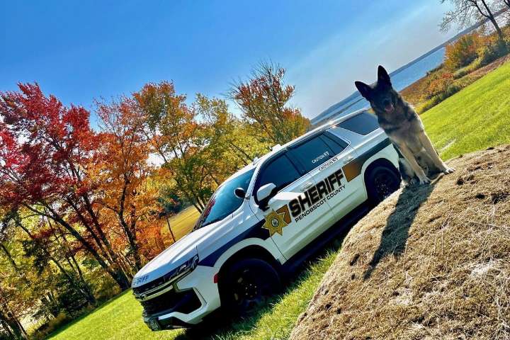 Mainers Vote in Penobscot County Sheriff's Office Photo Contest