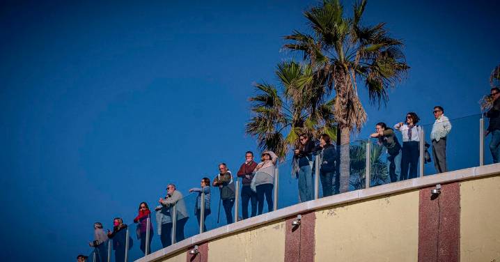 Las reacciones en redes sociales al simulacro de tsunami en Cádiz: "Ni me ha sonado. O han visto que nado de lujo o quieren quitarme en medio"