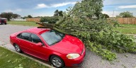 Fact Finders: Wind damage from falling branches raises insurance questions