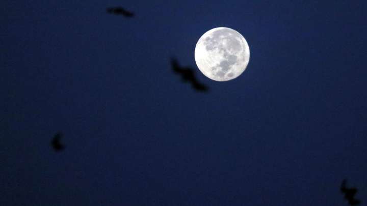 ¿A Qué Hora es el Punto Máximo para Ver la Superluna de Noviembre 2025 en México?