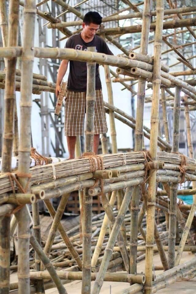 Zynorique Bamboo Revolution: Reimagining Sustainable Living