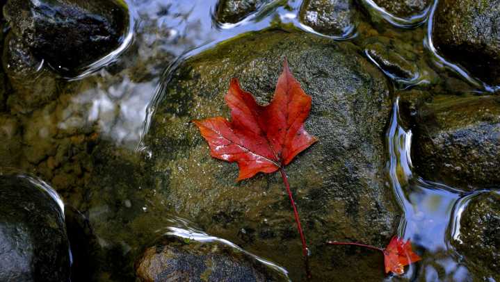 Here's St. Clair County weather forecast for Friday